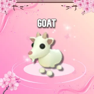 Goat