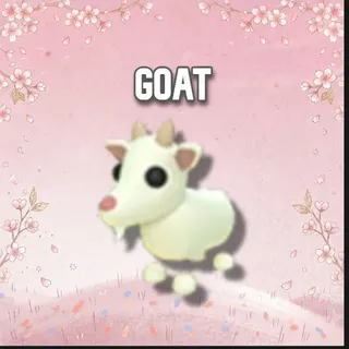 Goat