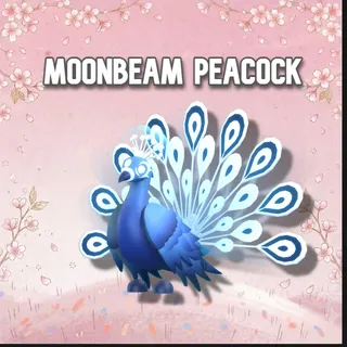 Moonbeam Peacock