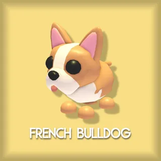 French Bulldog