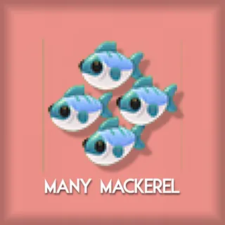 Many Mackerel