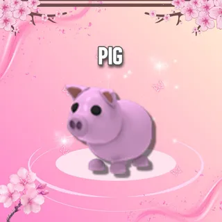 Pig