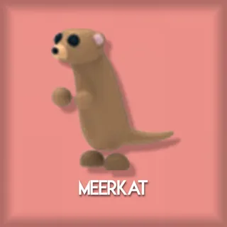 Meerkat