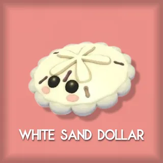 White Sand Dollar
