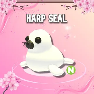 Neon Harp Seal