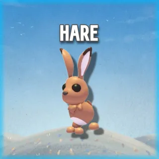 Hare