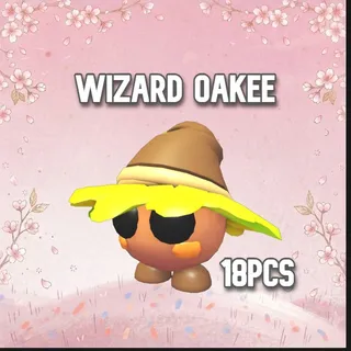 18pcs Wizard Oakee