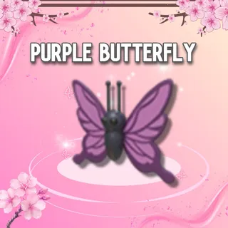 Purple Butterfly