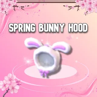 Spring Bunny Hood