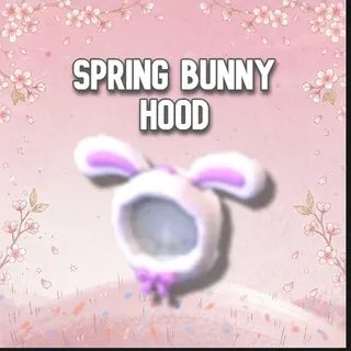 Spring Bunny Hood