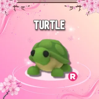 Turtle