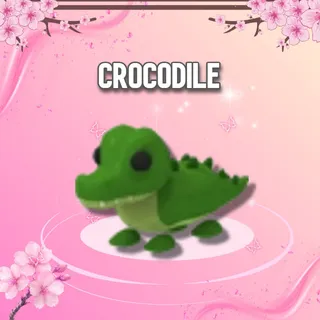 Crocodile
