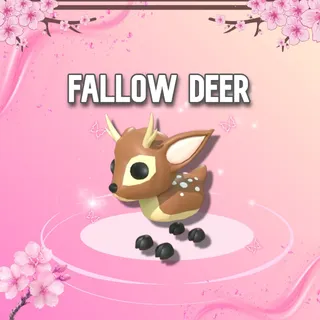 Fallow Deer
