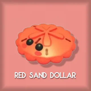 Red Sand Dollar