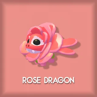Rose Dragon