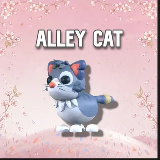 Alley Cat