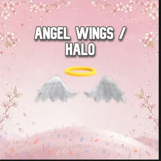 Angel Wings & Halo
