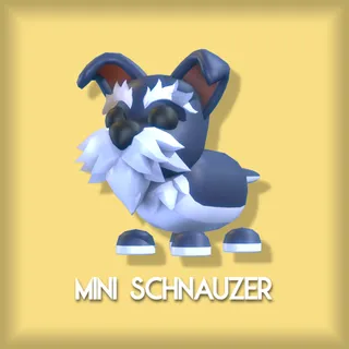 Mini Schnauzer