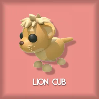 Lion Cub