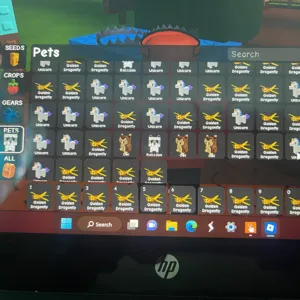 GAG2 - Game Account