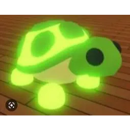NR TURTLE