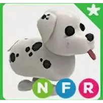 NFR DALMATIAN