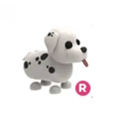 Ride Only Dalmatian