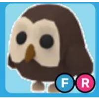 FR OWL