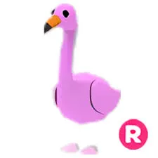 R Flamingo