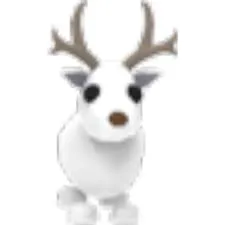 NFR Arctic Reindeer