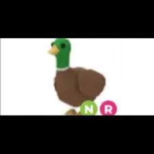 NR Drake Adopt Me Pet