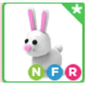 NFR Bunny