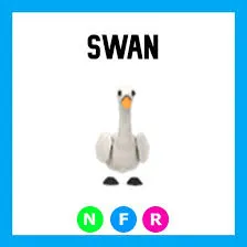 NFR Swan