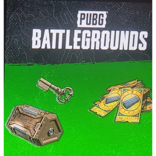 PUBG Survivor Pack