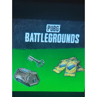 PUBG Survivor Pack