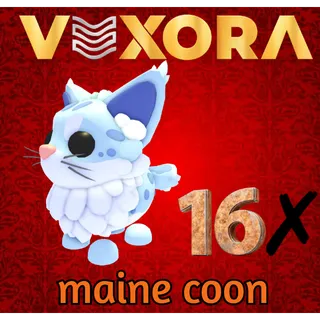 maine coon  -ADOPT ME !
