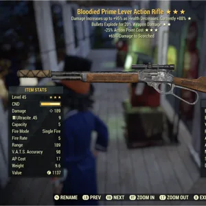 BE25 Lever Action Rifle