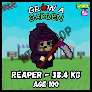 REAPER 38.4KG
