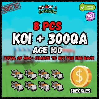 KOI AGE 100 - 8 PCS + 300QA