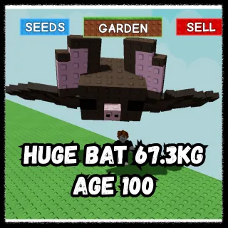 BAT 67.3KG