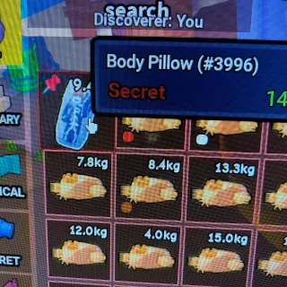 Body Pillow | Dig It Secret