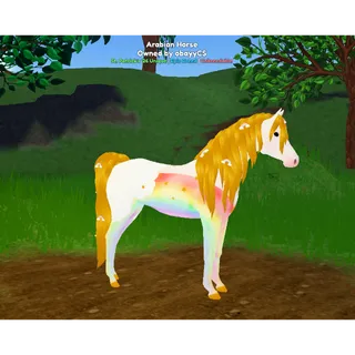 Arabian St. Patrick '26