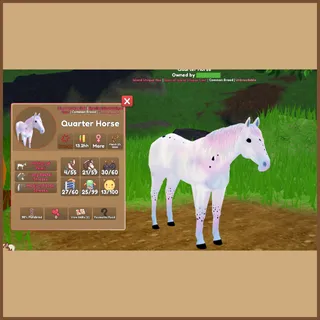 Shire Extra Long Diamond Hair IUH