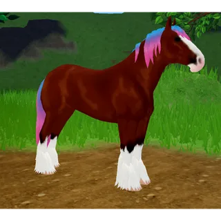 Clydesdale