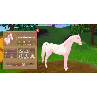 Arabian Valentine 24