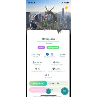 Shiny Rayquaza | GoFest NYC Background | Pokemon Go