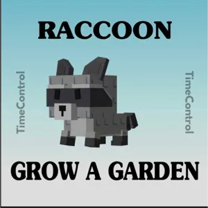 raccoon