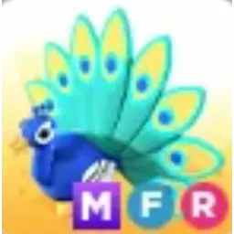 MFR Peacock