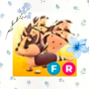 FR CCBD
