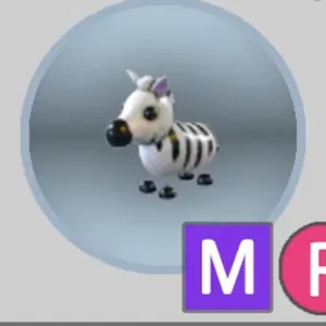 MR ZEBRA